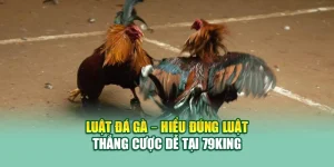 Luật Đá Gà – Hiểu Đúng Luật, Thắng Cược Dễ Tại 79King
